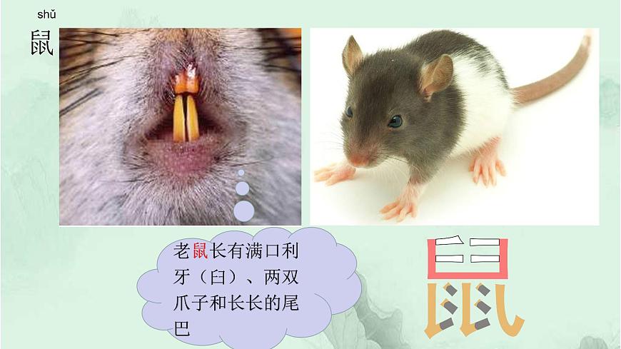課文23 紙船和風箏 精品PPT 趣味識字課件第5頁