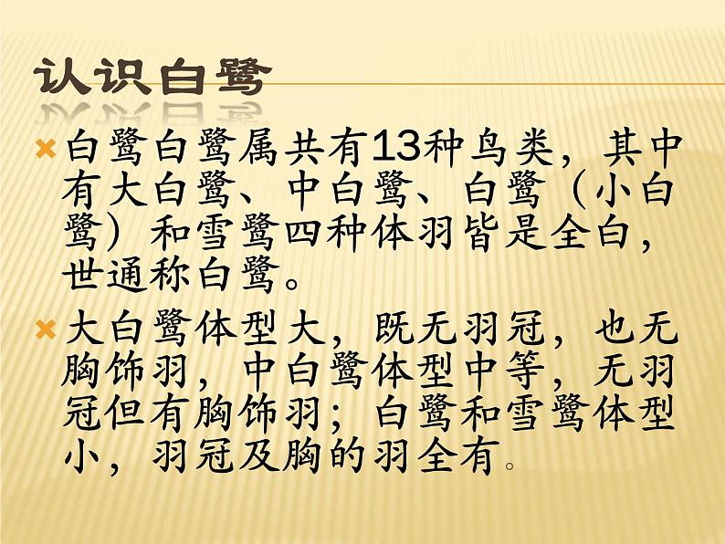 五年级上册《白 鹭》课件03