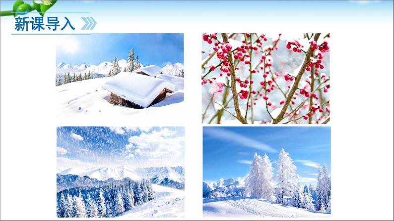 12《雪地里的小画家》课件PPT第3页