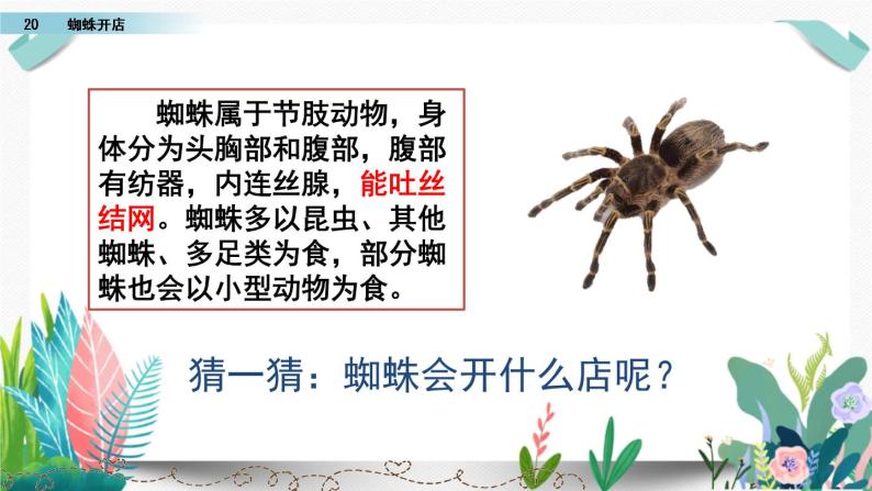 部编版小学语文20 蜘蛛开店课件PPT06