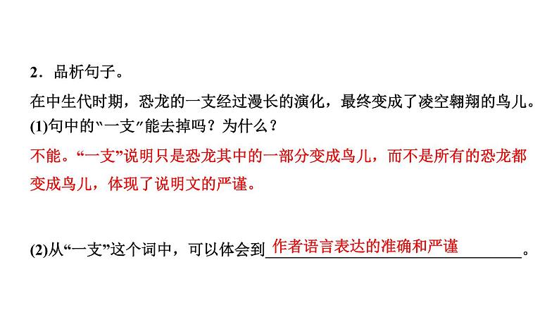 四年级下册部编版语文习题课件 第二单元 6 飞向蓝天的恐龙07