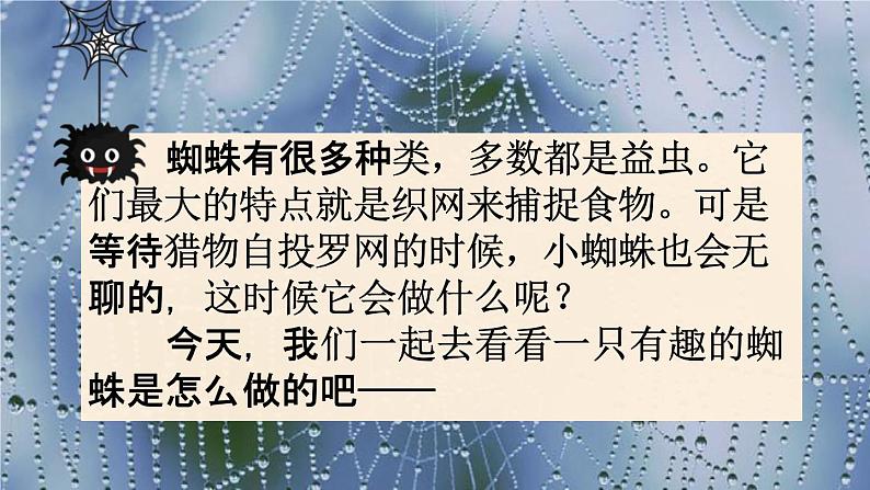 人教部编版二年级语文下册《第20课 蜘蛛开店》教学课件PPT小学优秀公开课第4页