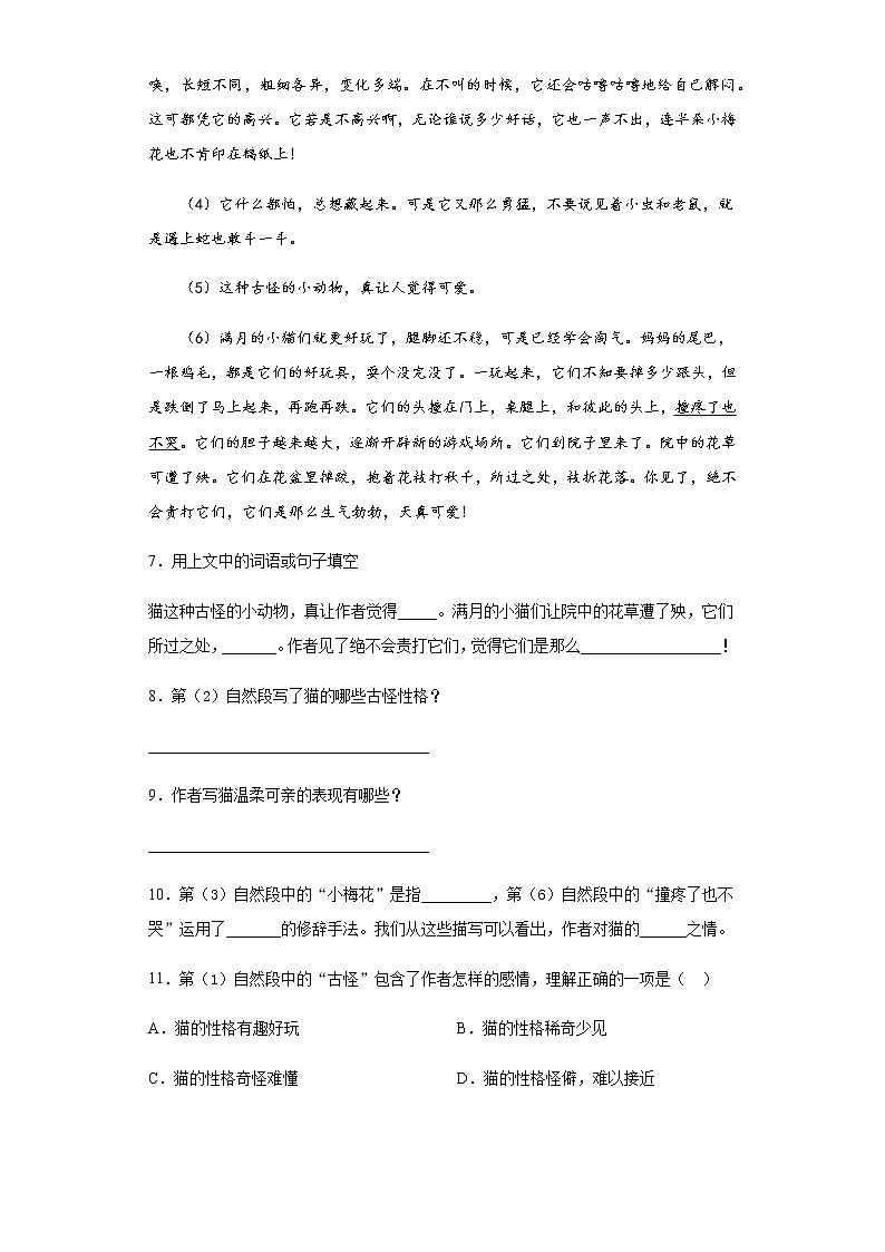 部编版小学语文小升初模拟试题(十五)(含答案)第3页