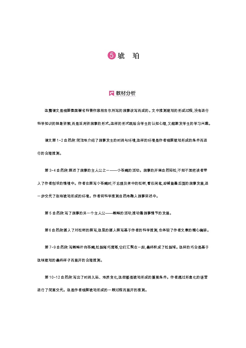 第5课《琥珀》-- 2021-2022学年语文四年级下册课件+教案(部编版)01