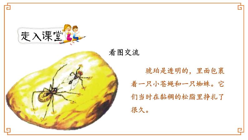 第5课《琥珀》-- 2021-2022学年语文四年级下册课件+教案(部编版)04