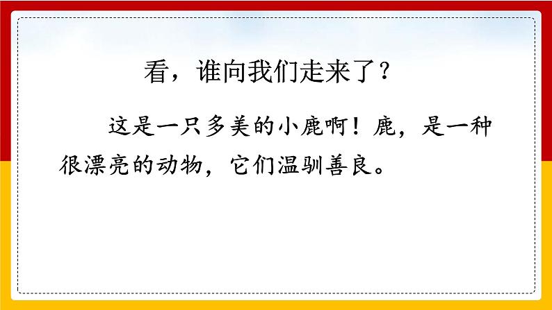 7. 鹿角和鹿腿 课件第3页