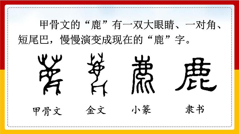 7. 鹿角和鹿腿 课件第4页