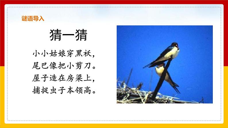 2 .《燕子》课件+教案+练习02