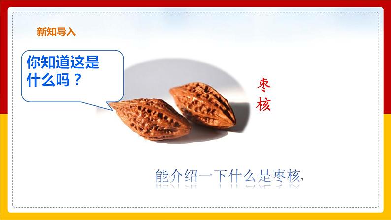 28.《 枣核》课件第2页
