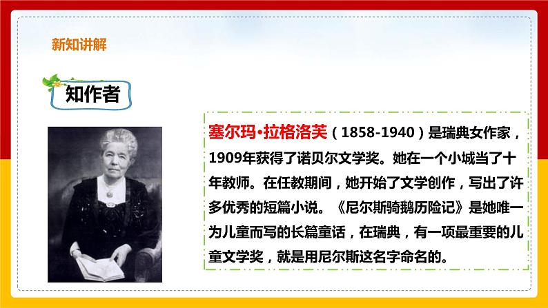 6.骑鹅旅行记 课件第4页