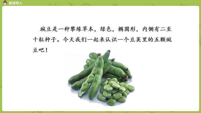 统编版语文四上第2单元5《一个豆荚里的五粒豆》课时1课件PPT03