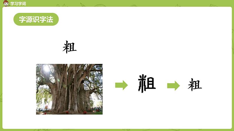 统编版语文四年级(上)第8单元25《王戎不取道旁李》课时1课件PPT08