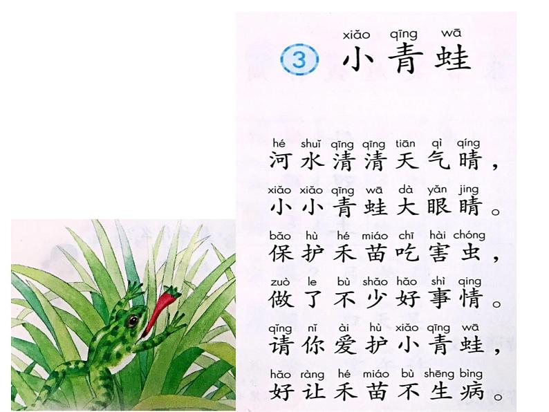 部编版小学语文一年级《识字3:小青蛙》 课件第8页