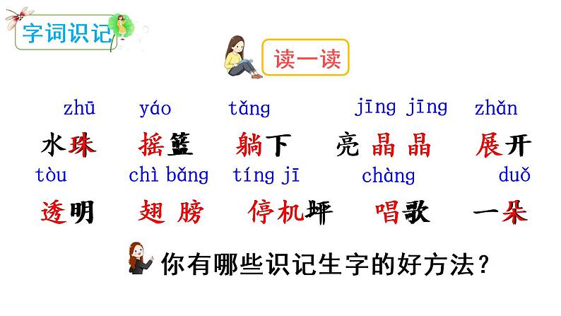 13 荷叶圆圆(课件)第2页