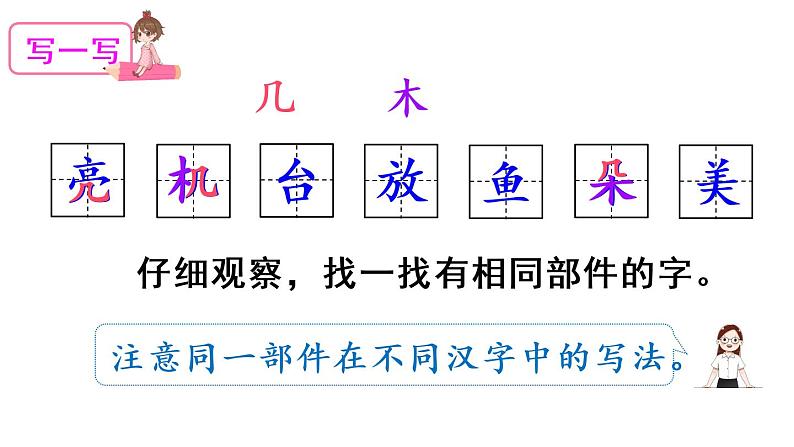 13 荷叶圆圆(课件)第5页