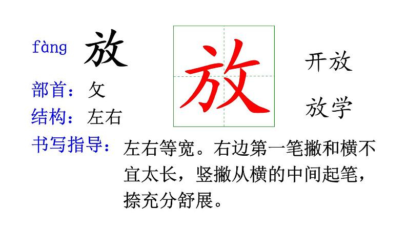 13 荷叶圆圆(课件)第7页