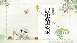 部编版三年级下册语文第一单元4《昆虫备忘录》课件PPT