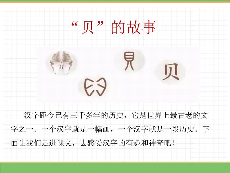 人教版语文二年级下册 第三单元 3 “贝”的故事(第1课时)课件PPT03