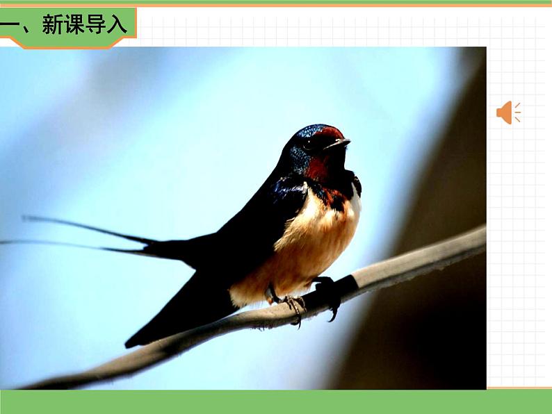 人教版语文三年级下册 第一单元 2 燕子 第一课时课件PPT第2页