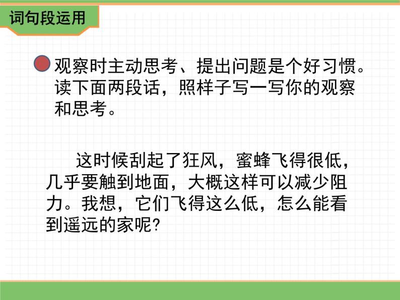 人教版语文三年级下册 第四单元 语文园地课件PPT06