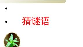 小学人教部编版 (五四制)4 猜字谜教课内容ppt课件