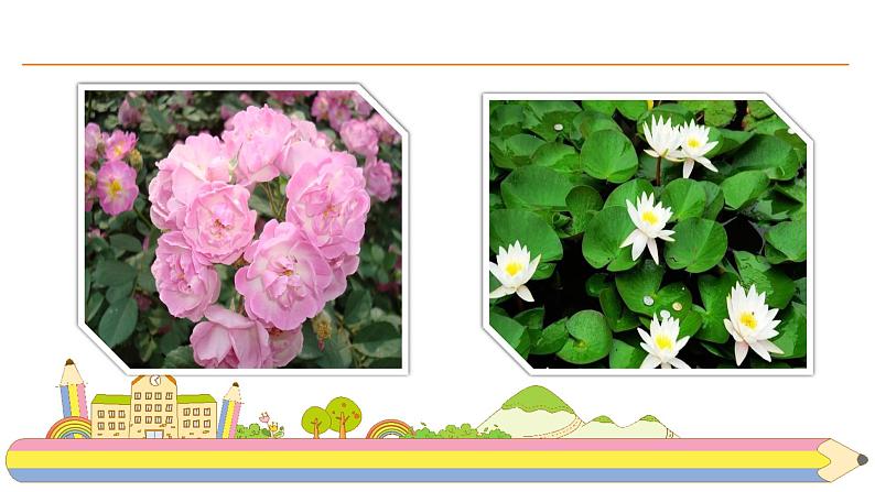 13.《花钟》课件PPT03