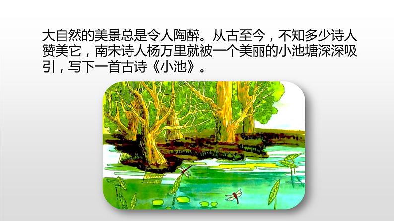 统编版语文一年级(下)第6单元《古诗二首》课时2小池课件PPT第3页