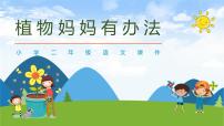 语文二年级上册3 植物妈妈有办法背景图课件ppt
