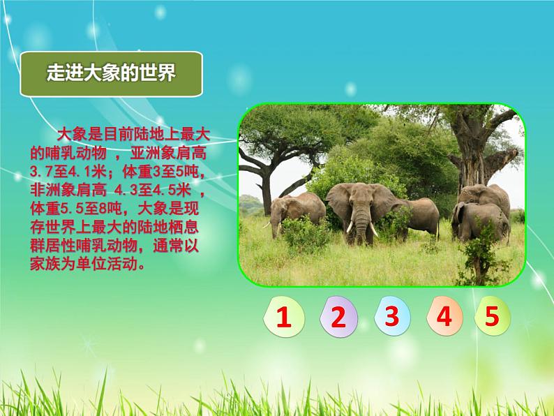 部编版语文二年级上册 4.曹冲称象(2)(课件)第5页