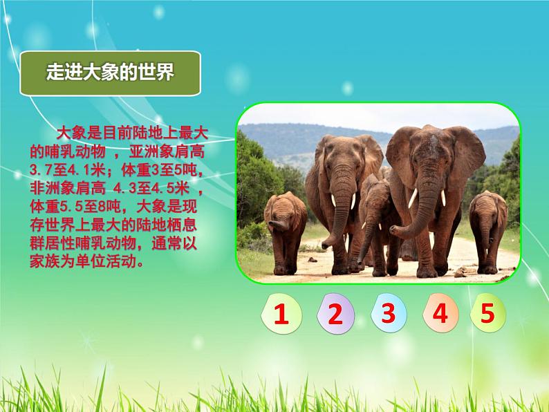 部编版语文二年级上册 4.曹冲称象(2)(课件)第6页