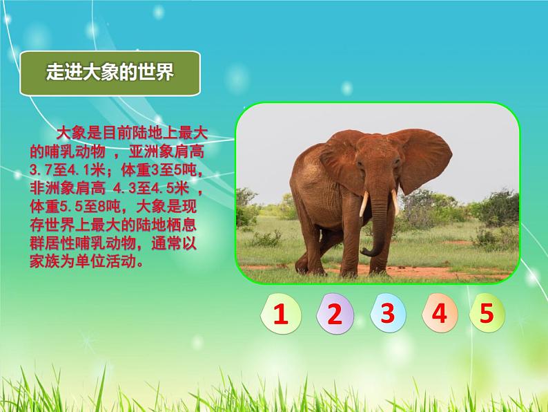 部编版语文二年级上册 4.曹冲称象(2)(课件)第7页