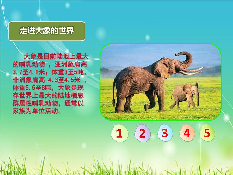 部编版语文二年级上册 4.曹冲称象(2)(课件)第8页