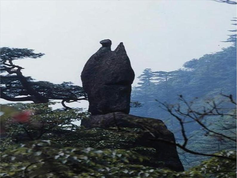 部编版语文二年级上册 9.黄山奇石(1)(课件)第5页