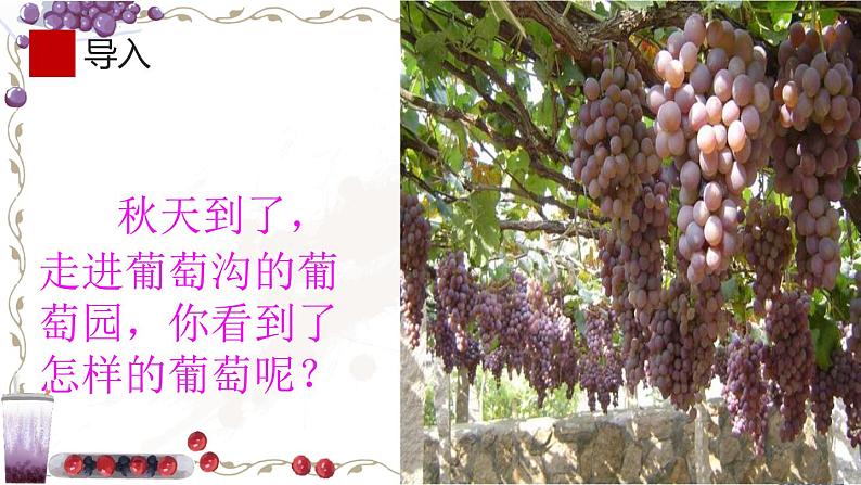 部编版语文二年级上册 11葡萄沟(课件)第3页