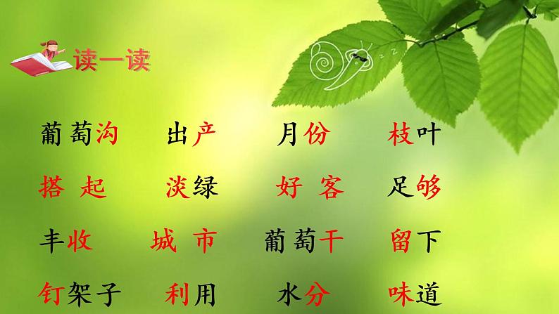部编版语文二年级上册 11.葡萄沟(课件)第2页