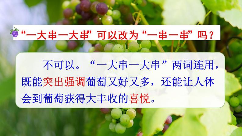 部编版语文二年级上册 11.葡萄沟(课件)第7页