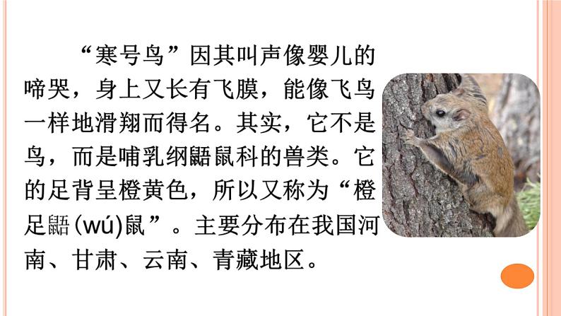 部编版语文二年级上册 13 寒号鸟(课件)第3页
