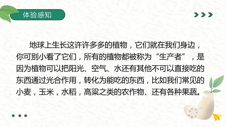 金奖作文二年级暑假第六讲植物第3页