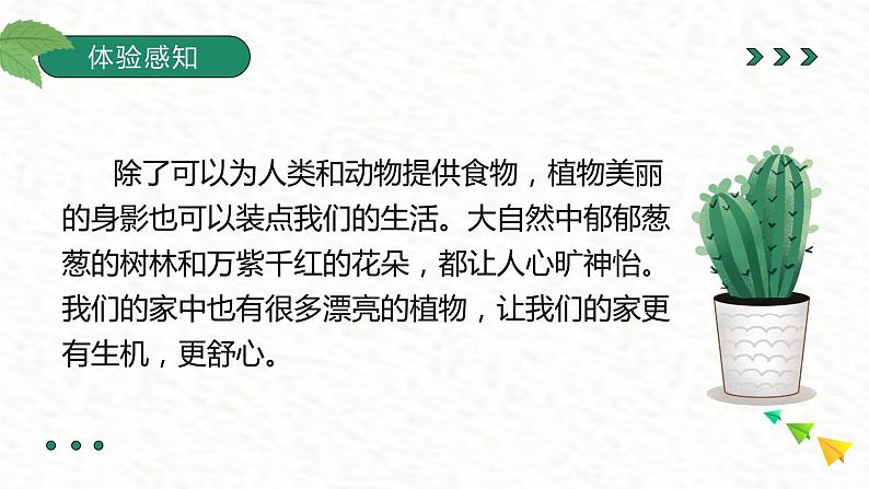 金奖作文二年级暑假第六讲植物第4页