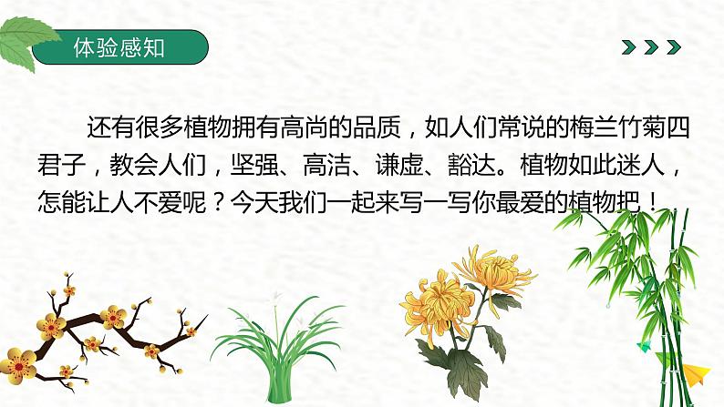 金奖作文二年级暑假第六讲植物第5页