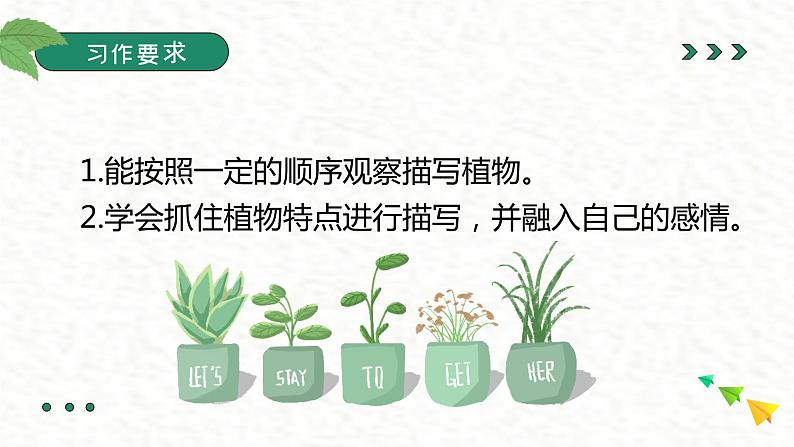 金奖作文二年级暑假第六讲植物第7页