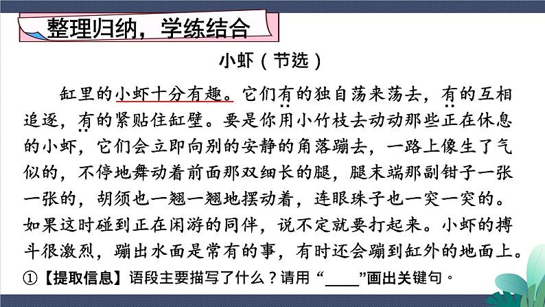 2-6 考场阅读大练兵:课内阅读轻轻顺 期末复习课件-2021-2022学年语文三年级下册第4页
