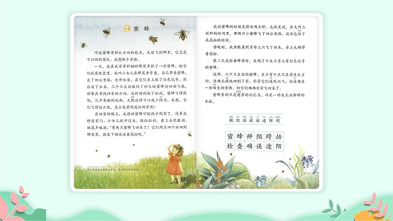 部编版语文三年级下册 14 蜜蜂课件PPT第2页