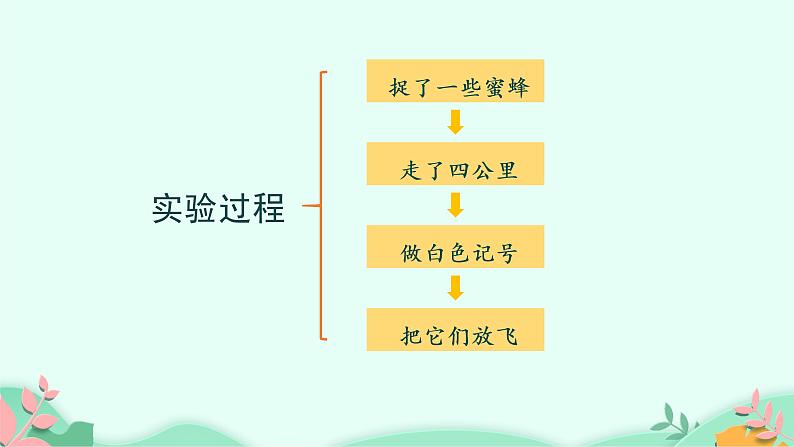 部编版语文三年级下册 14 蜜蜂课件PPT第3页