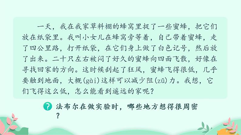 部编版语文三年级下册 14 蜜蜂课件PPT第4页