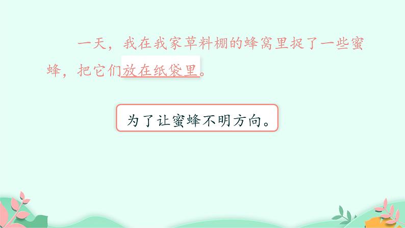 部编版语文三年级下册 14 蜜蜂课件PPT第5页