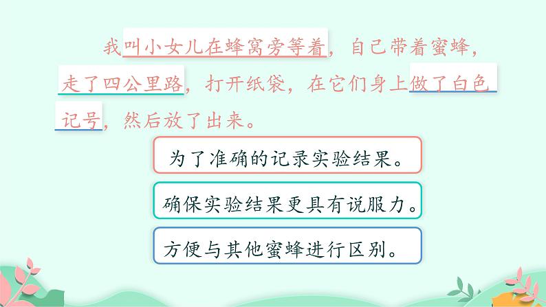 部编版语文三年级下册 14 蜜蜂课件PPT第6页