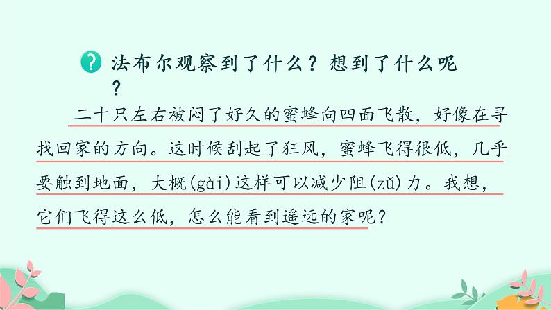 部编版语文三年级下册 14 蜜蜂课件PPT第8页