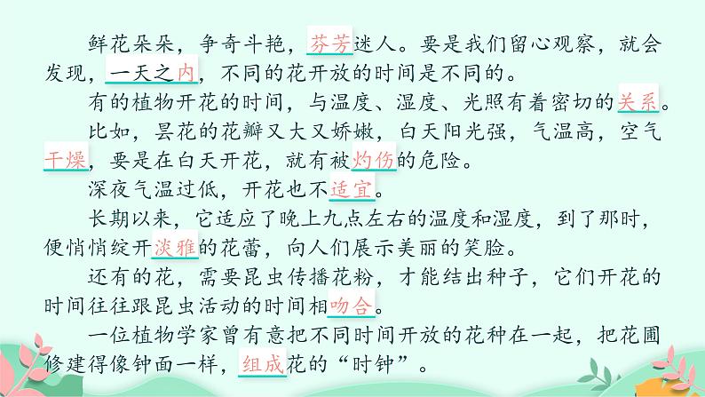 部编版语文三年级下册 13 花钟课件PPT第8页