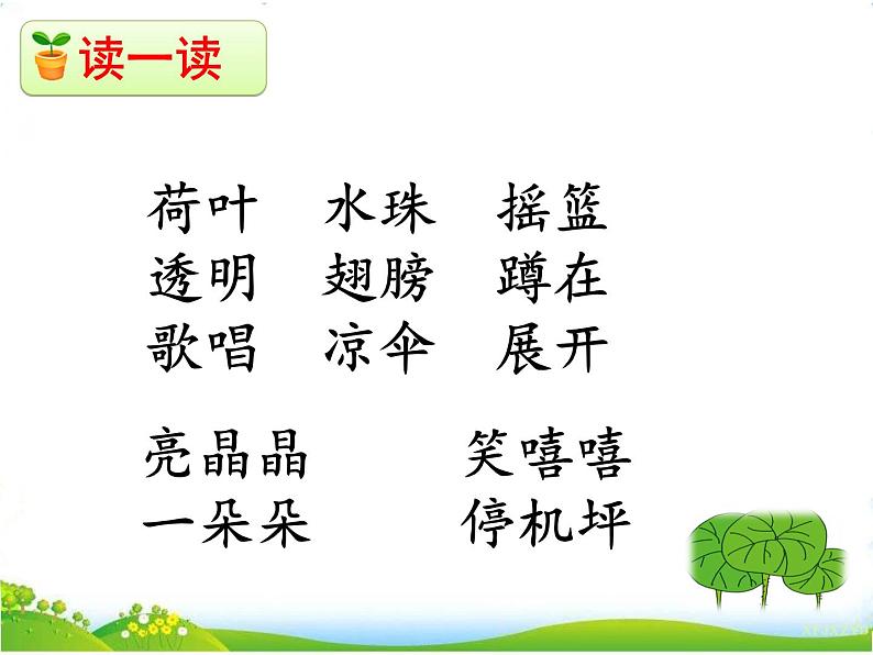 13.荷叶圆圆第8页